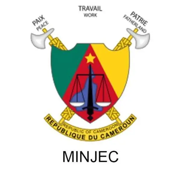Nom du partenaire